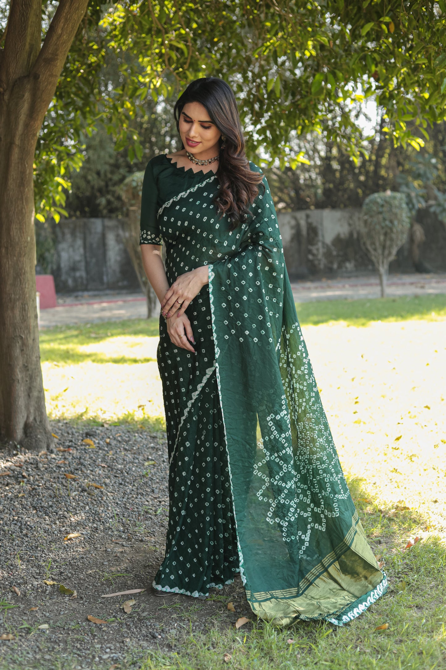 Gorgeous Pure Bandhej Green Color Silk Saree