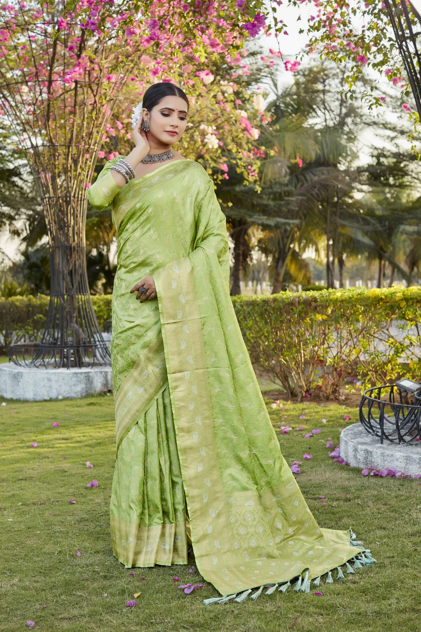 Daisy Pure Kanjivaram Silk Pista Color Saree