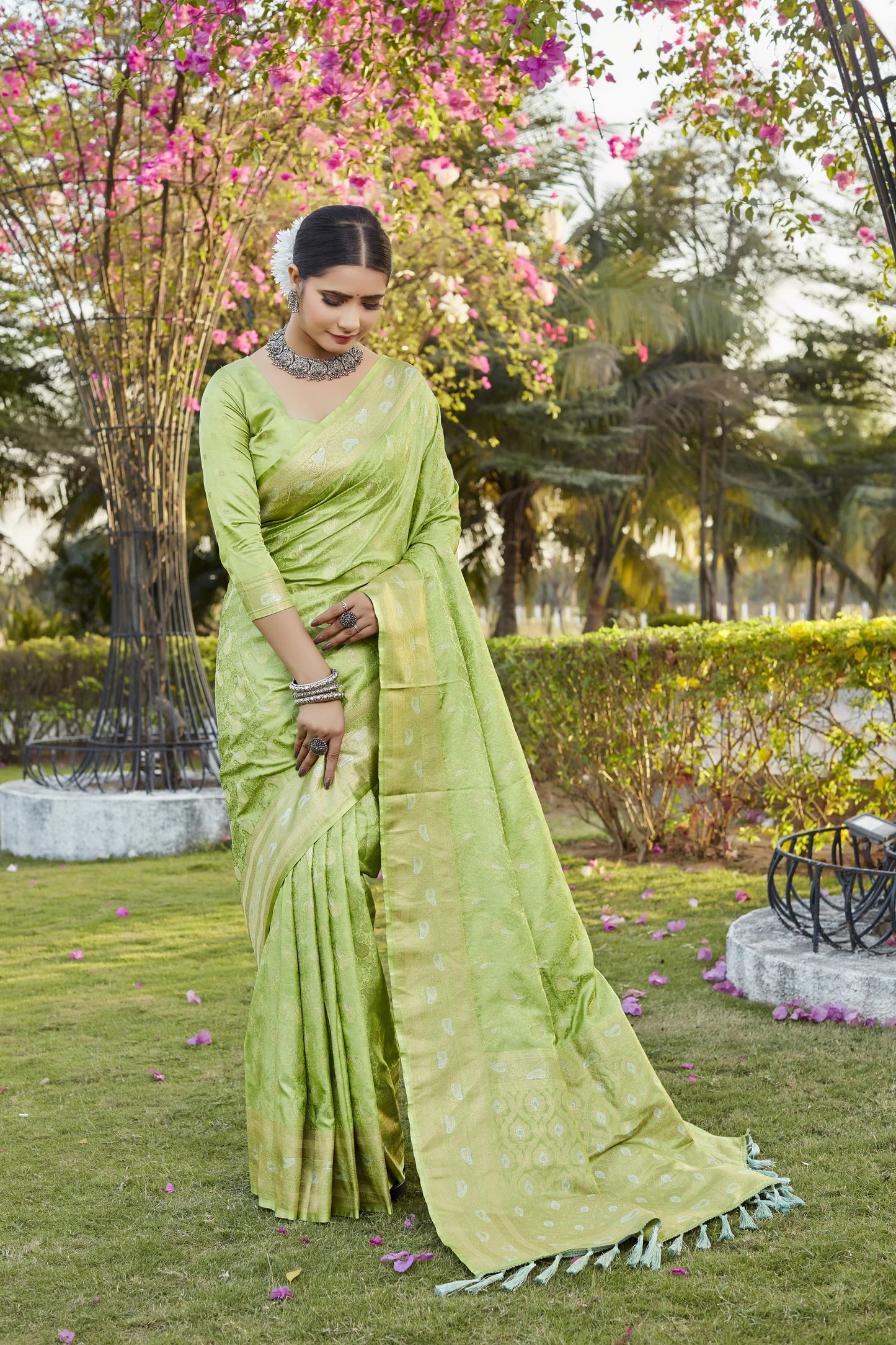 Daisy Pure Kanjivaram Silk Pista Color Saree