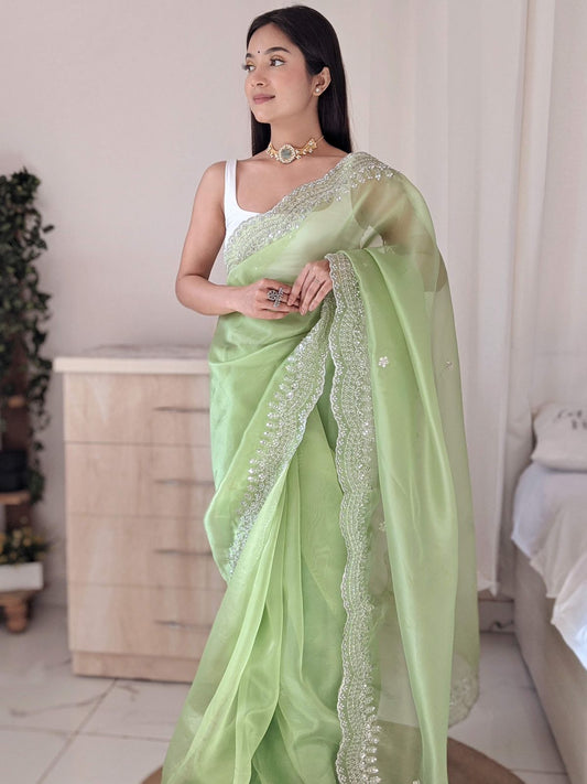 Beautiful Organza Silk Perrot Color Saree