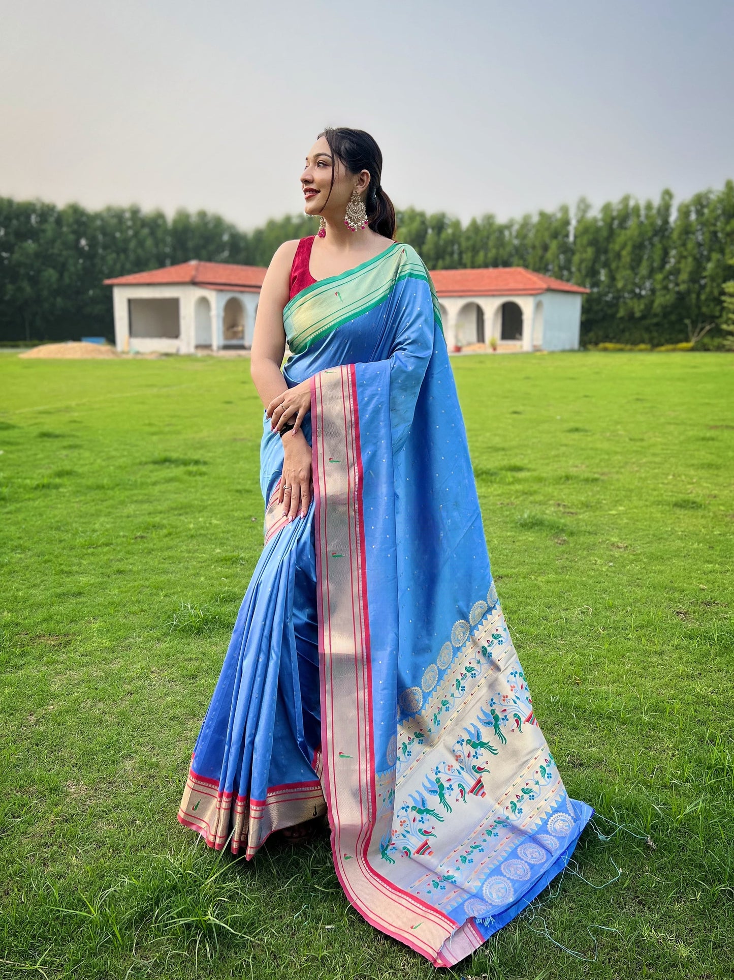 Imposing Cotton Sky Color Saree