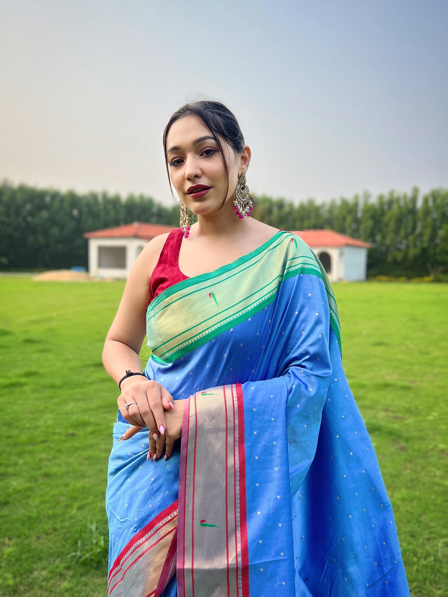 Imposing Cotton Sky Color Saree