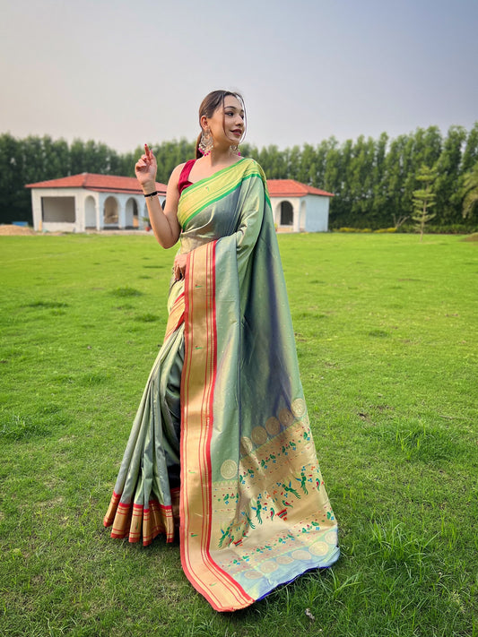 Imposing Cotton Perrot Color Saree