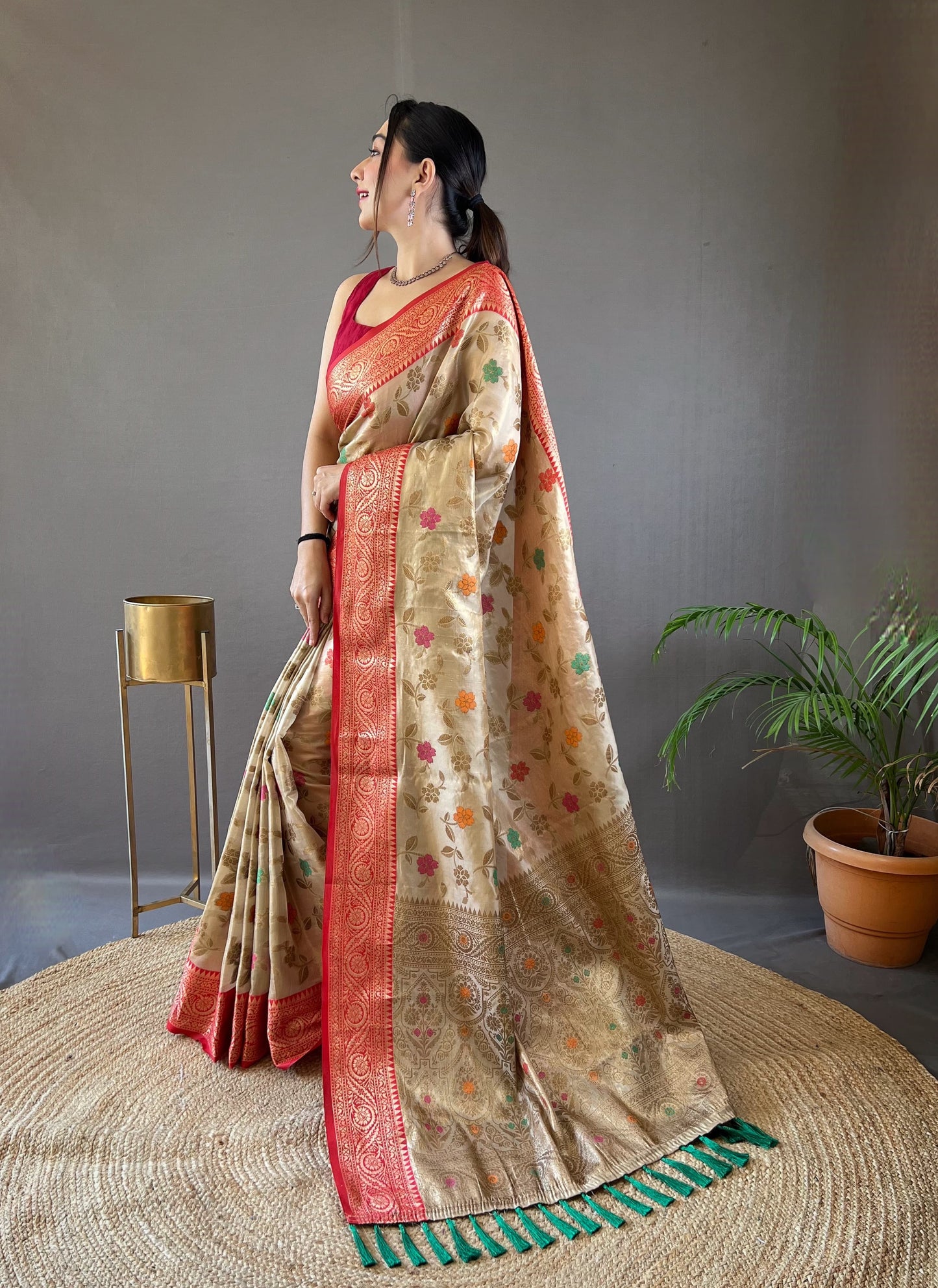 Classic Organza Tissue Silk Beige Color Saree