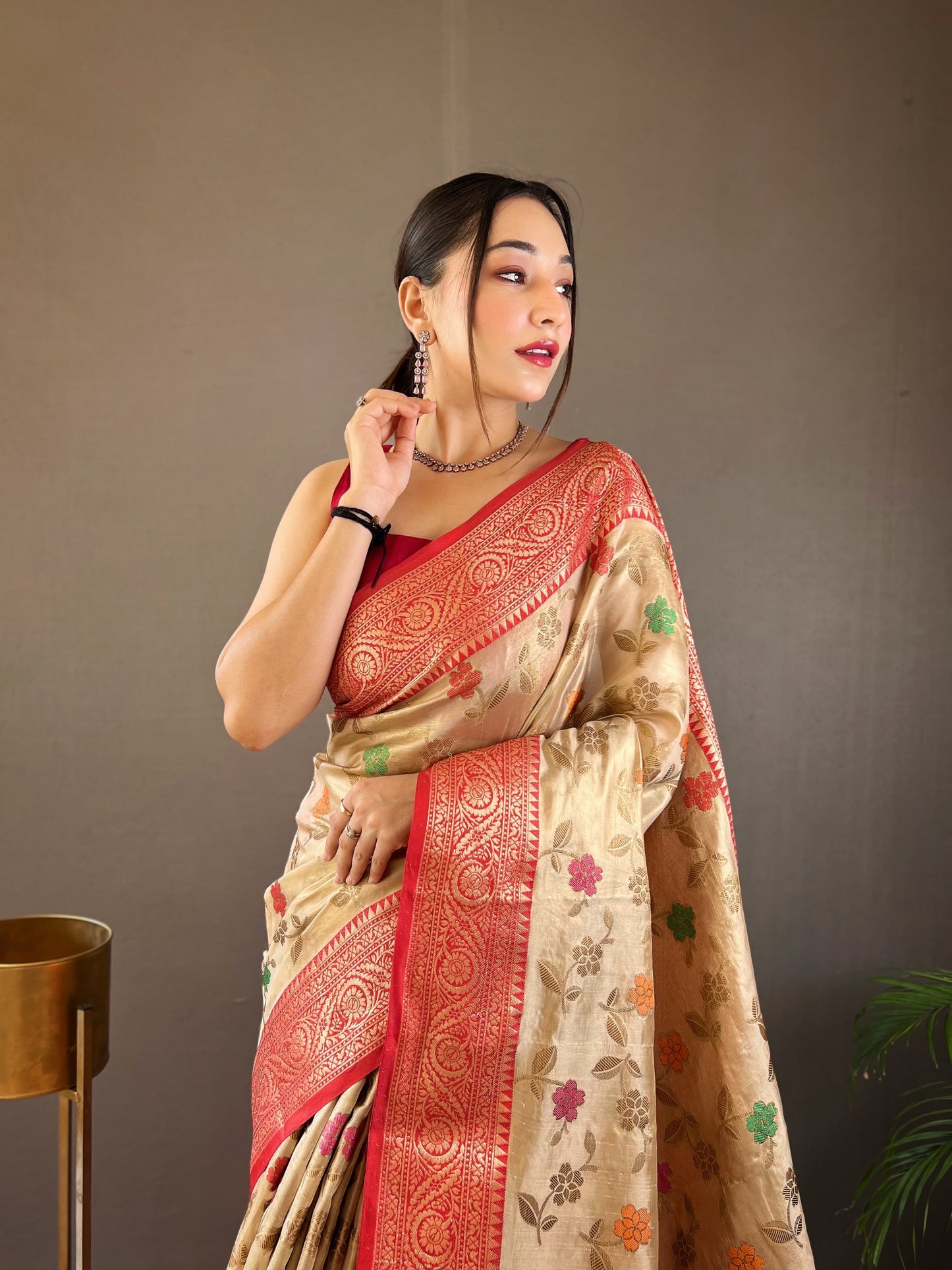 Classic Organza Tissue Silk Beige Color Saree