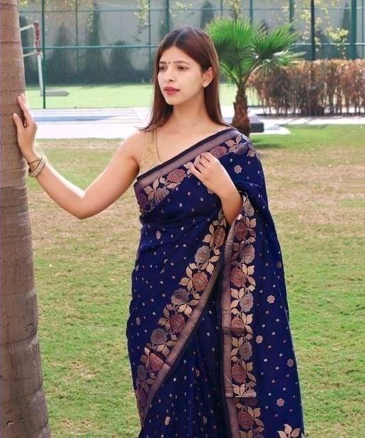 Daisy Jaquard Navy Blue Color Silk Saree