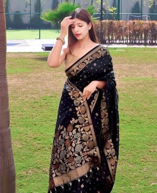 Daisy Jaquard Black Color Silk Saree