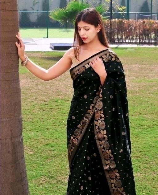 Daisy Jaquard Black Color Silk Saree